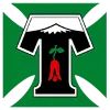 Deportes Temuco