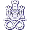Newcastle Town FC