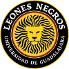 Leones Negros