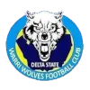 Warri Wolves FC
