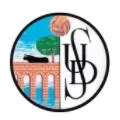 Salamanca UDS B crest
