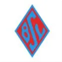 Blumenthaler SV