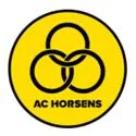 Horsens U17