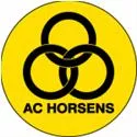 Horsens Reserve