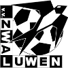 VV Zwaluwen
