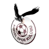 Kartalspor U19