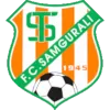 Samgurali Tskh