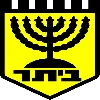 Beitar Kfar Saba Shlomi