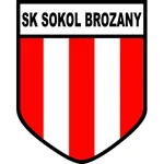 FK Slavoj Zatec