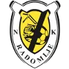 Radomlje