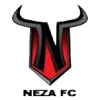 Toros Neza