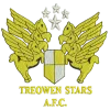 Treowen Stars