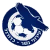 Ironi Nesher