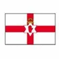 Northern Ireland U21 crest
