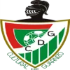 CD Guarnizo