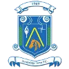 Newbridge Town crest