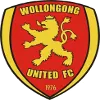 Wollongong United
