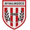 Ayvalikgucu Belediyespor