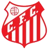 Capivariano FC SP Youth