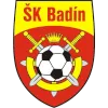 SK Badin