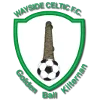 Wayside Celtic