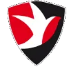 Cheltenham Town (W)