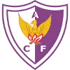 Centro Atletico Fenix