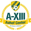 FV Austria XIII