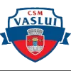 Vaslui