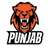 Minerva Punjab