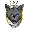 ZNK Radomlje (W)