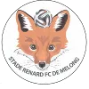 Stade Renard de Melong