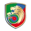 Miedz Legnica II