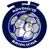 Bridlicna
