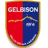 Gelbison