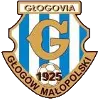 Glogovia Glogow Malopolski