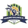 Marumo Gallants FC