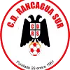 CD Rancagua Sur