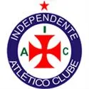 Vaidepenas Futsal crest