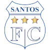 Santos Ica
