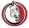 Jaguar FC