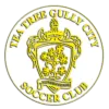 Tea Tree Gully City