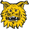 Ilves II (W)