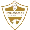 Stellenbosch FC Reserves