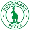 Bohemians 1905