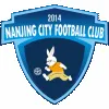 Nanjing City