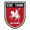 ACS Viitorul Selimbar