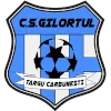 CS Gilortul Targu Carbunesti