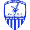 Falcons FC