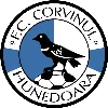 Corvinul Hunedoara